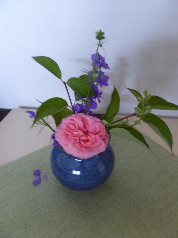 Ferienwohnung Dora 1 Михелщат Екстериор снимка